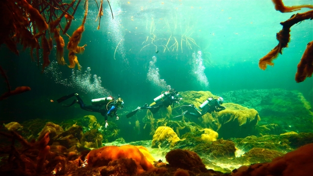 Buceando en Riviera Maya